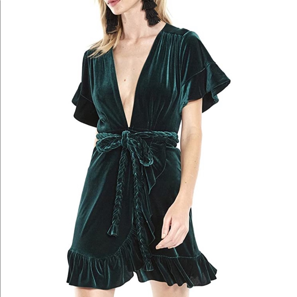 Misa Los Angeles velvet dress
